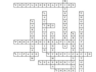 OCR Alevel PE energy (MW, ME & EC) systems crossword