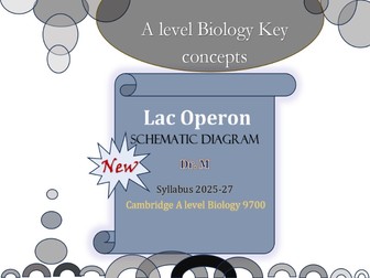Lac Operon : Schematic diagram - A level Biology