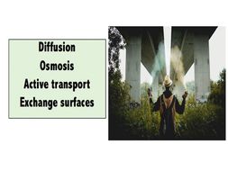Transport in cells