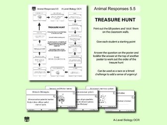 Animal Responses - Alevel Biology Treasure Hunt