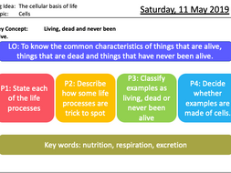 KS3 BEST - Characteristics of living things. | Teaching Resources