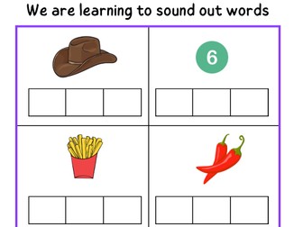 CVC, CVCC and CVVC words