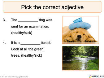 Adjectives: Opposites (Lesson 2 ) -  ESL/ELL Lesson Plan