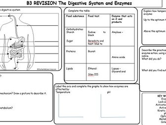 Revision mat NEW AQA GCSE B3 unit on Digestion and Enzymes