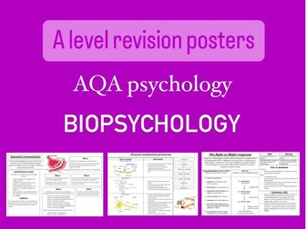 Biopsychology - A level psychology AQA revision posters