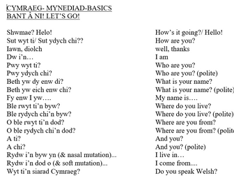 Welsh Cymraeg Mynediad Basics icebreaker sheet