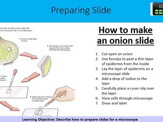 BTEC Applied Science Unit 1- Preparing a slide