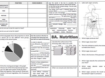 Revision 8A Nutrition (Exploring Science): Revision mat worksheet