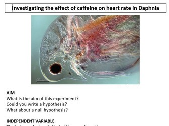 Investigating the effect of caffeine on heart rate in Daphnia