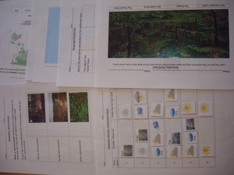 Geography Deforestation, Rainforest and Weather Chart SEN, Early Years, Primary and Preschoolers