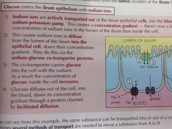 A PPT for year 12 Biology AQA showing how Glucose is transported across the membrane