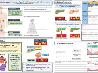 Homeostasis AQA GCSE Revision Lesson (FT)