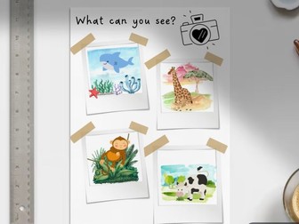 What’s in the Photo? - Animals