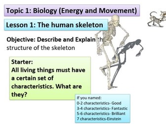 KS3 *year 7 or 8*. Intro into the skeleton