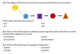 Producers, Consumers, and Decomposers - Worksheet | Distance Learning