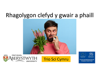 Rhagolygon clefyd y gwair a phaill