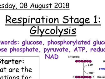 AQA A level Biology - Glycolysis