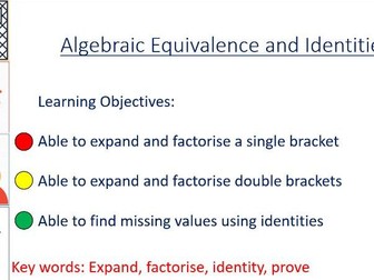 Algebraic Equivalence and Identities (Grade 6 - 8 )