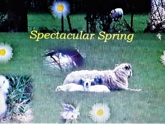 Spectacular Spring
