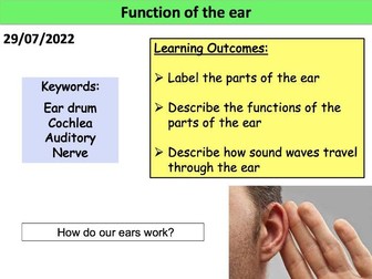 KS3 Function of the ear