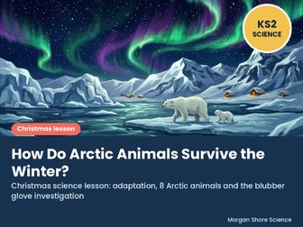 Christmas Science: How Do Arctic Animals Survive the Winter? KS2 Adaptation Lesson