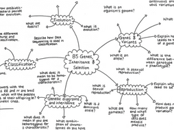 B5 Biology Revision Mindmap | Teaching Resources