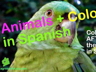 Animals + Colours in Spanish