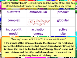 Make a hypothesis about the effect of substrate concentration on enzyme activity image