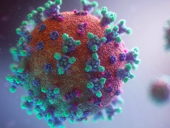 The Geography of Covid-19