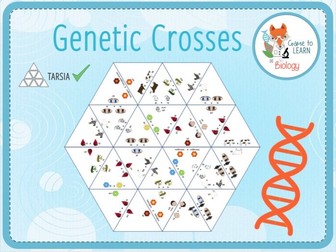 Genetic Crosses - Tarsia (KS4/5)