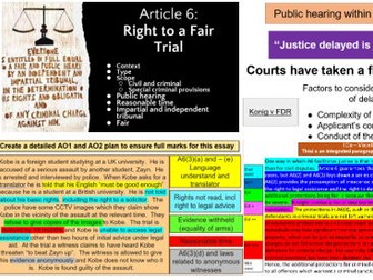 Article 6 - Right to a Fair Trial