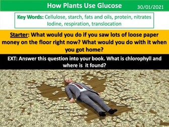 How Plants Use Glucose