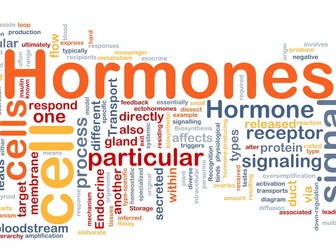 B11 Hormones Higher level