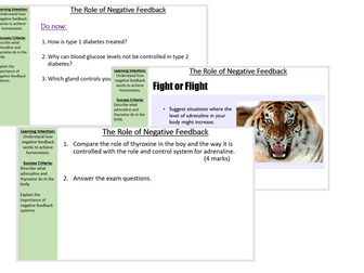 The role of negative feedback AQA B11.4