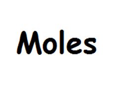 Moles