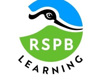 Big Schools' Birdwatch introductory power point (English & Welsh)