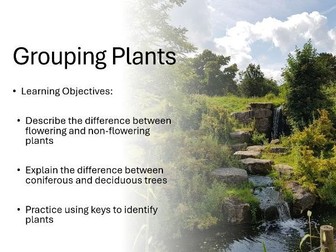 Grouping Plants Lesson KS2