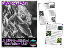Differentiated Nonfiction Unit: Chameleons