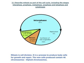 Edexcel GCSE Biology Topic 2 Grade 9 Notes