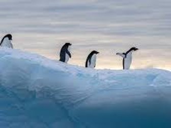 Geography iGCSE Antarctica + Climate Change