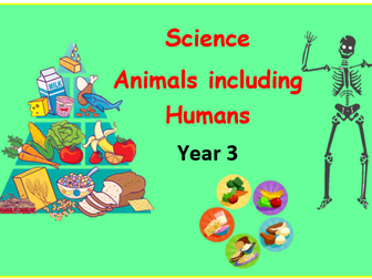 Year 3 Science: Animals including Humans display poster/ knowledge organiser