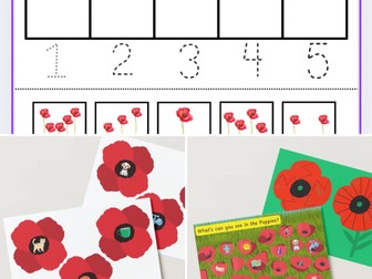 Remembrance Day  EYFS bundle
