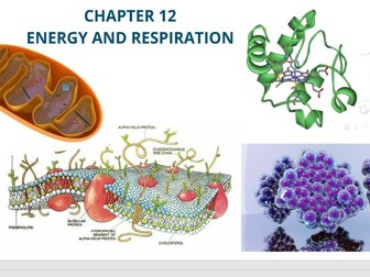 Energy & Respiration