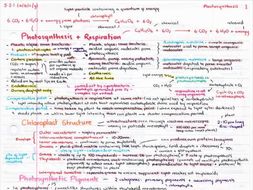 OCR A Level Biology Photosynthesis Revision Poster | Teaching Resources