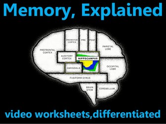 Memory Eplained: video worksheets, differentiated.