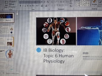 IB Biology topic 6 human physiology ppt