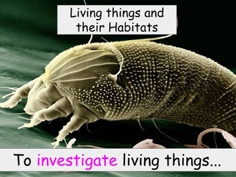 Year 4 - Living things and their Habitats