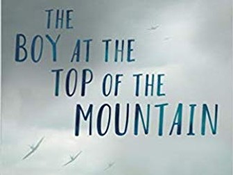 Full 7 week unit of lessons for John Boyne's The Boy at the Top of the Mountain (0-9)