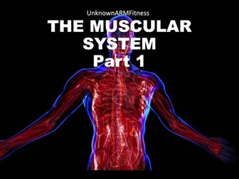 THE MUSCULAR SYSTEM #Part 1