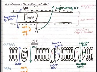 AQA Biology Topic 6 Revision Notes